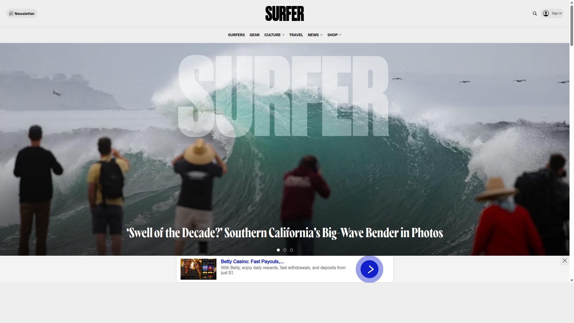 Surfer website